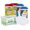 Sanitizing Wipe Kit w/ Germisept, Sani Maxx, Sani Professional Wipes and KN95 Masks