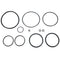 Bradley S65-195 O-Ring/Seal Kit