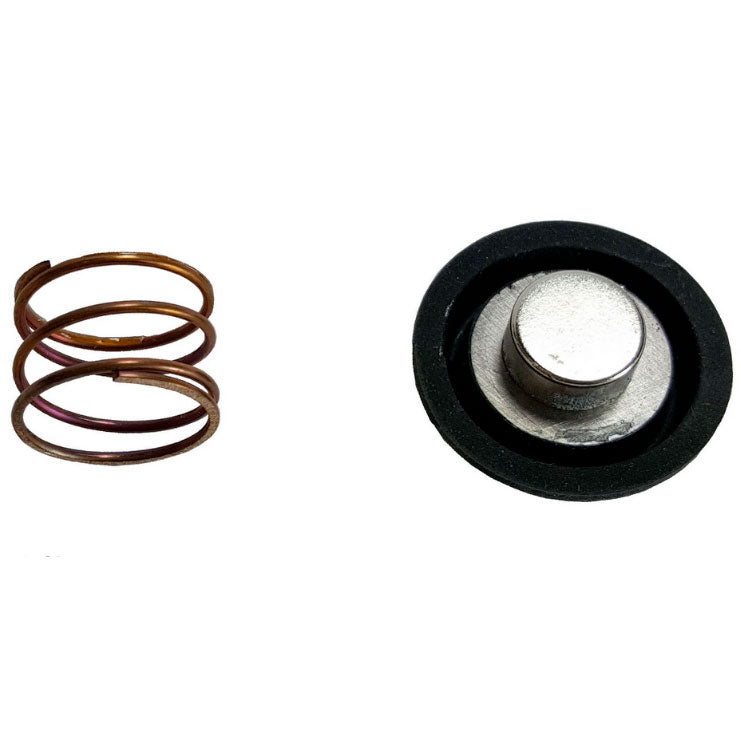 Bradley S39-591 Magnet/Diaphragm Asm