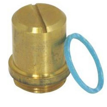 Speakman RPG07-0004 SENTINEL PISTON CAP &  WASHER KIT