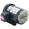 Nidec US Motors U34S3DC 3-Phase C-Face Motor, 3/4 HP, 3-Phase, 1200 RPM, 208-230, 460V, 143TC Frame