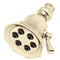 Speakman S-2255-PB-E2 Vintage Anystream 6-Jet Shower Head (2.0 GPM for California)