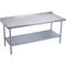Elkay EWT24S60-STG-2X Economy Work Table, Stainless Steel Under Shelf, 2" Backsplash, 60 (L) X 24 (W) X 36 (H) Over All