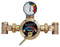 Leonard LF Single or Multiple Drench or Combination Emergency Shower Thermostatic Mixing Valve, 20 GPM -TM-800-LF